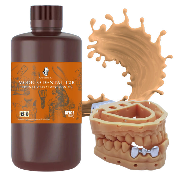 Caballero 3D Modelo Dental 12K
