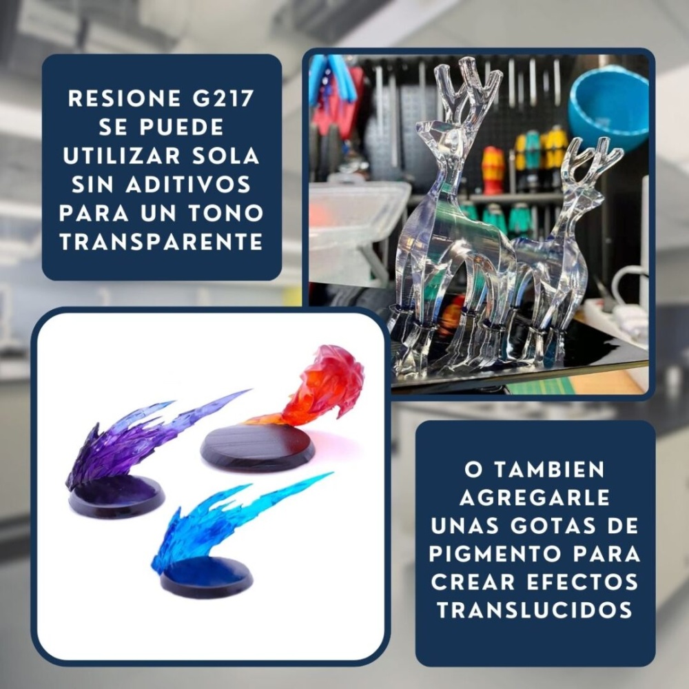 Resione G217 - Imagen 3