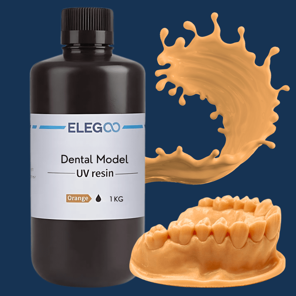 Elegoo Dental Model