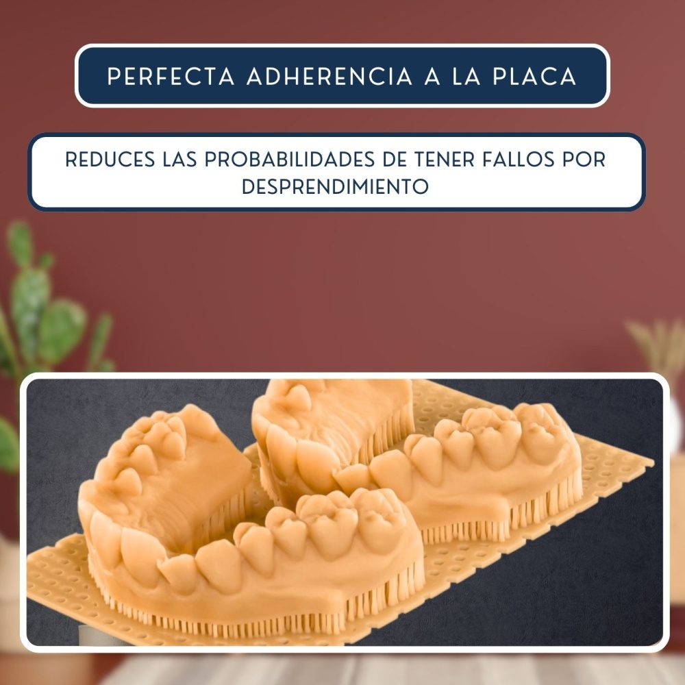 Elegoo Dental Model - Imagen 4