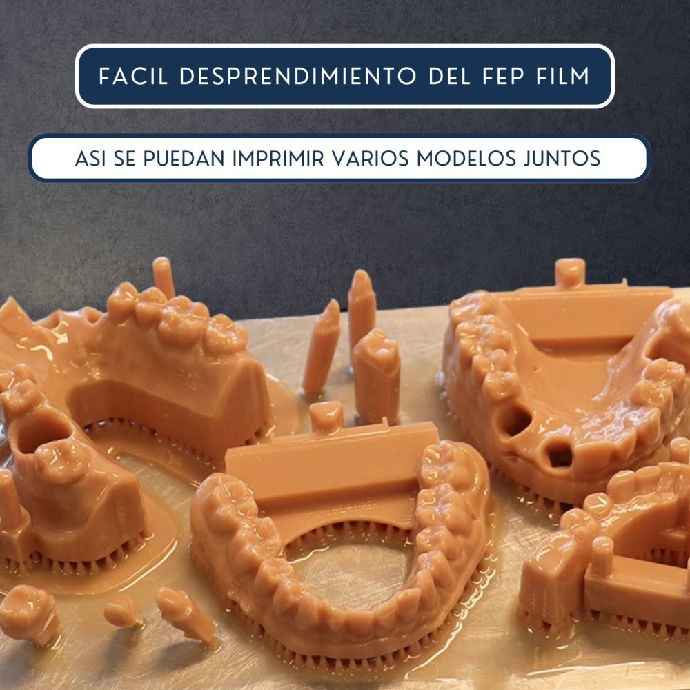 Elegoo Dental Model - Imagen 3