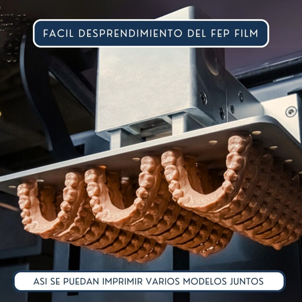 Dental Orthodontic - Imagen 2