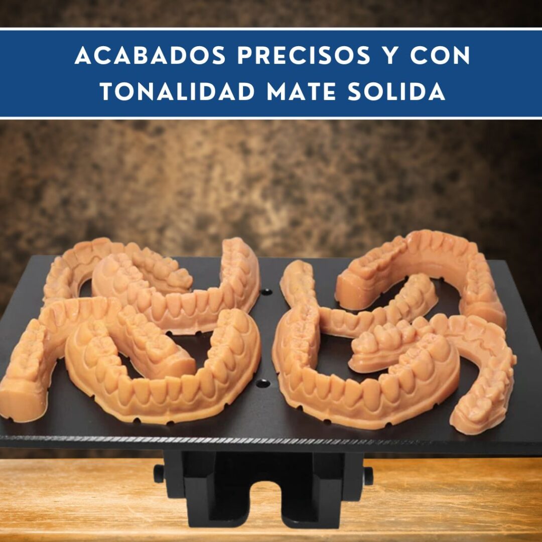 Caballero 3D Modelo Dental 12K - Imagen 2