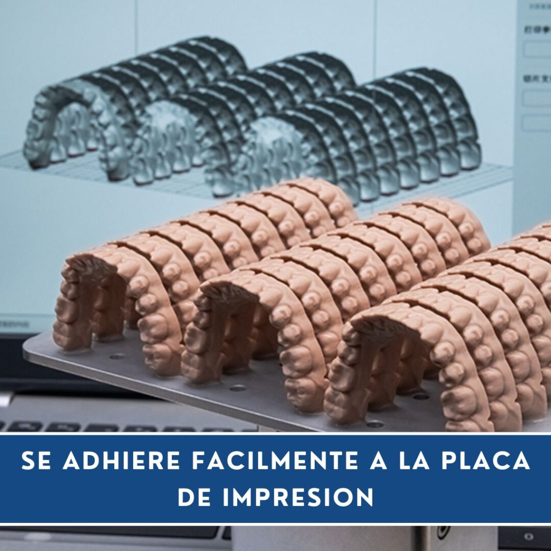 Caballero 3D Modelo Dental 12K - Imagen 5