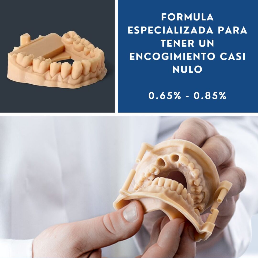 Caballero 3D Modelo Dental 12K - Imagen 4